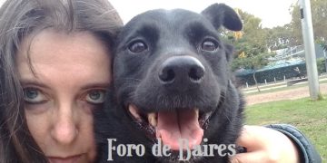 Los perros prefieren que no los abracen