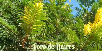FAUBA Verde estará en la Feria del Productor al Consumidor y Colecta RAEEs