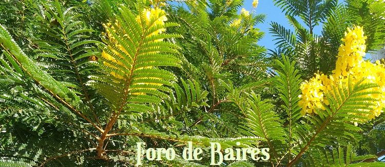 FAUBA Verde estará en la Feria del Productor al Consumidor y Colecta RAEEs