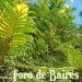 FAUBA Verde estará en la Feria del Productor al Consumidor y Colecta RAEEs
