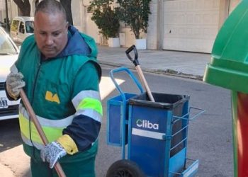 El otoño y la caída de hojas: recomendaciones para mantener la ciudad limpia