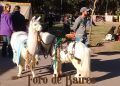 Mis animales son mis hijos. ¿Se puede querer más a un animal que a una persona?