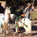 Mis animales son mis hijos. ¿Se puede querer más a un animal que a una persona?