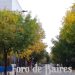 La Editorial Facultad de Agronomía presenta «Los árboles de Buenos Aires. Breve historia del arbolado y sus árboles históricos y notables»