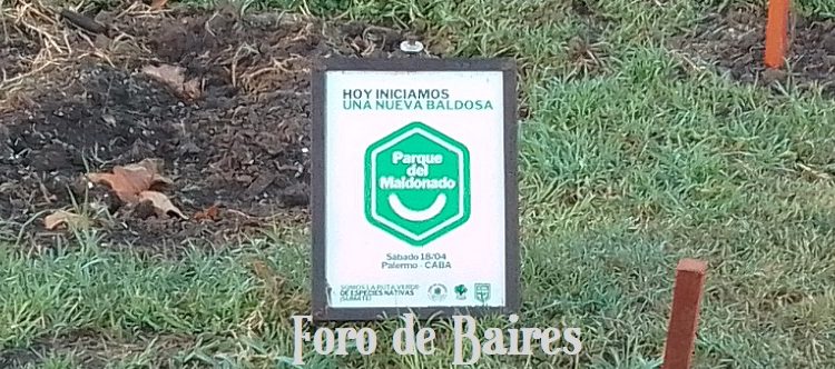 La agrupación de vecinos «Parque del Maldonado» sembró plantas nativas en una nueva plazoleta del Ferroviario
