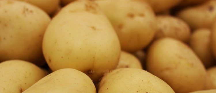 La papa se proyecta como cultivo estratégico en la Argentina