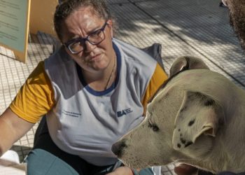 «Más servicios en tu barrio» llega esta semana a Belgrano, Villa Pueyrredón, Villa Soldati, Mataderos, Constitución y Villa Lugano