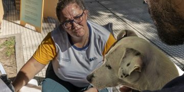«Más servicios en tu barrio» llega esta semana a Belgrano, Villa Pueyrredón, Villa Soldati, Mataderos, Constitución y Villa Lugano