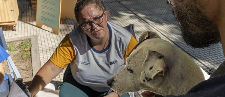«Más servicios en tu barrio» llega esta semana a Belgrano, Villa Pueyrredón, Villa Soldati, Mataderos, Constitución y Villa Lugano