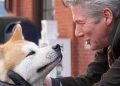 ¿Por qué lloramos más por los animales que por las personas cuando vemos películas?