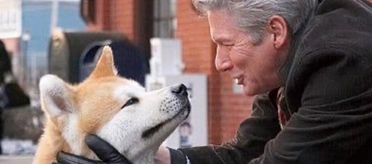 ¿Por qué lloramos más por los animales que por las personas cuando vemos películas?