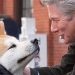 ¿Por qué lloramos más por los animales que por las personas cuando vemos películas?
