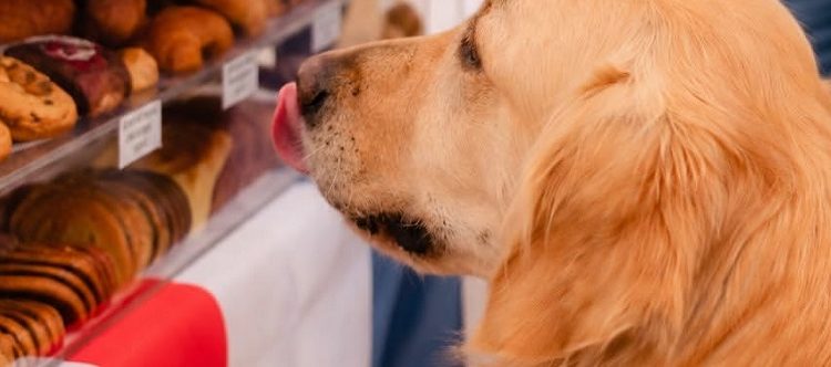 Este fin de semana, la Feria Lucullus se llena de sabor francés en Recoleta