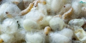 “El cierre del INTI-Textiles significaría una pérdida irreparable para el desarrollo del país”