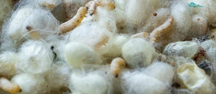 “El cierre del INTI-Textiles significaría una pérdida irreparable para el desarrollo del país”