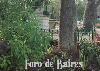 ¿Qué significa la Ley Hojarasca en la Ciudad Autónoma de Buenos Aires?
