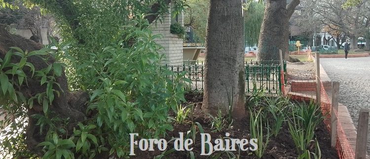 ¿Qué significa la Ley Hojarasca en la Ciudad Autónoma de Buenos Aires?