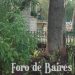 ¿Qué significa la Ley Hojarasca en la Ciudad Autónoma de Buenos Aires?
