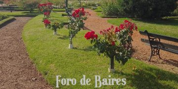 El Rosedal de Palermo entrega esquejes gratis hasta mediados de Julio