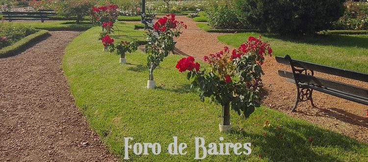 El Rosedal de Palermo entrega esquejes gratis hasta mediados de Julio