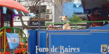 El trencito de la Alegría recorre zonas de Palermo ¿Cuáles son sus paradas y horarios?