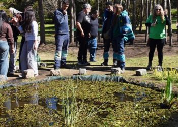 Vuelven los peces de lluvia: 70 años después reaparecen en la Ciudad