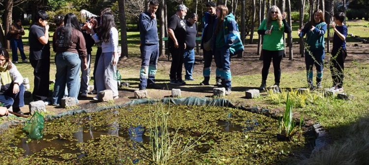 Vuelven los peces de lluvia: 70 años después reaparecen en la Ciudad