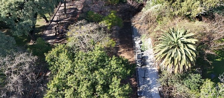 Avanza la puesta en valor de la calle Lillo en Parque Centenario