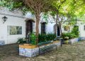 El Museo Saavedra abre sus jardines para recibir la primavera