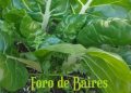 La ciencia llega a la Feria del Productor al Consumidor