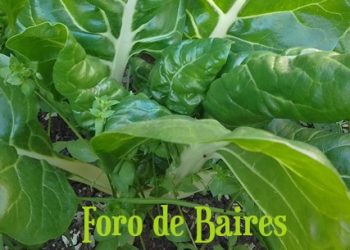 La ciencia llega a la Feria del Productor al Consumidor