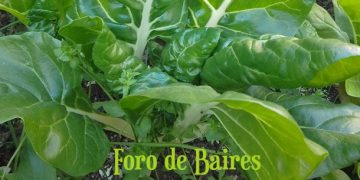 La ciencia llega a la Feria del Productor al Consumidor