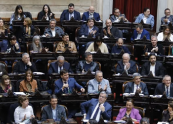 La oposición logró aprobar sin sobresaltos su plan de trabajo sobre emergencia en Discapacidad y morosidad