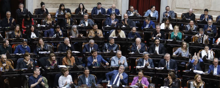 La oposición logró aprobar sin sobresaltos su plan de trabajo sobre emergencia en Discapacidad y morosidad