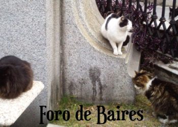 Piden un cementerio y crematorio de animales en Buenos Aires