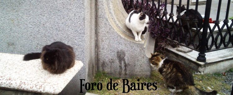 Piden un cementerio y crematorio de animales en Buenos Aires