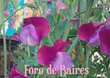 La Huerta «Luna de Enfrente» presenta una exposición de flores a cielo abierto