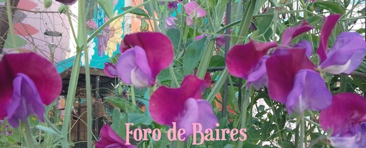 La Huerta «Luna de Enfrente» presenta una exposición de flores a cielo abierto