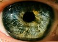 Seguridad: ¿Tus vecinos hacen ruidos molestos? Hay hackers buenos y malos.El iris contiene información biométrica