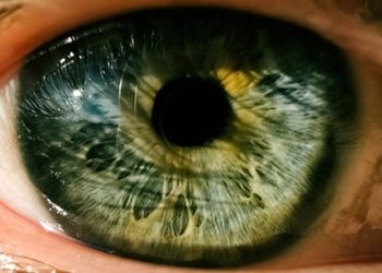 Seguridad: ¿Tus vecinos hacen ruidos molestos? Hay hackers buenos y malos.El iris contiene información biométrica