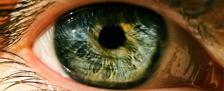 Seguridad: ¿Tus vecinos hacen ruidos molestos? Hay hackers buenos y malos.El iris contiene información biométrica