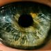 Seguridad: ¿Tus vecinos hacen ruidos molestos? Hay hackers buenos y malos.El iris contiene información biométrica