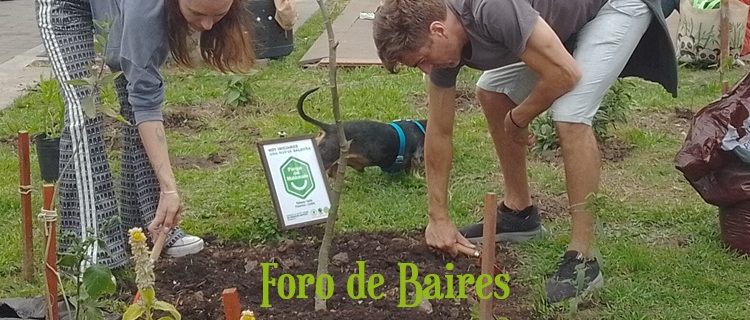 Los Vecinos del Parque Maldonado realizaron plantaciones en el predio a pesar de la lluvia