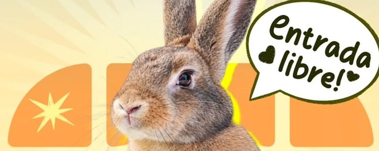 Se viene el Conefest y la Noche de los Alfajores a Palermo